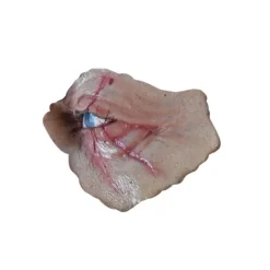 Halloween 2018 - Michael Myers Dead Eye Appliance